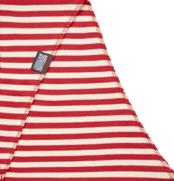 NPS Scarf Triangle