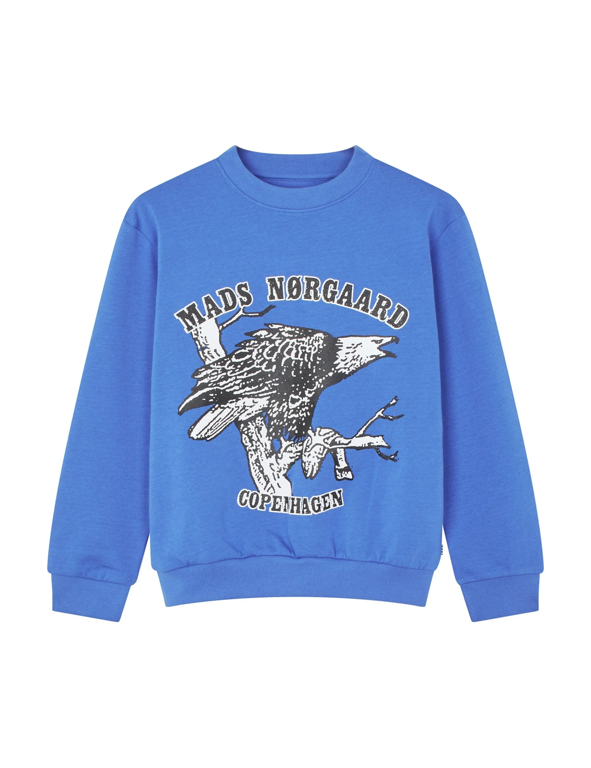 Organic Sweat Sonar Sweatshirt